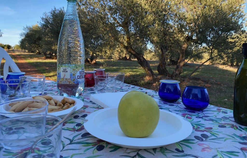 cata aceite aove en lagunas de ruidera