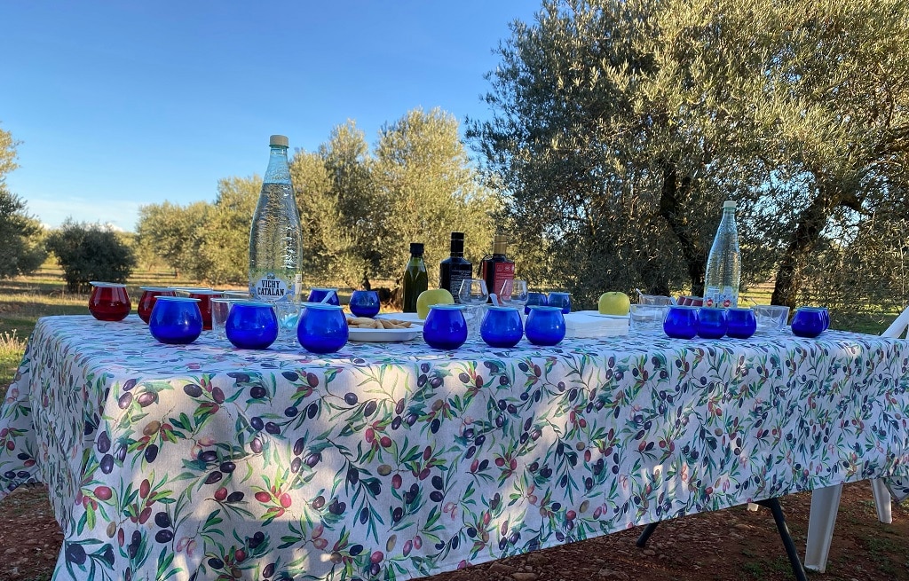 cata de aceite castilla la mancha