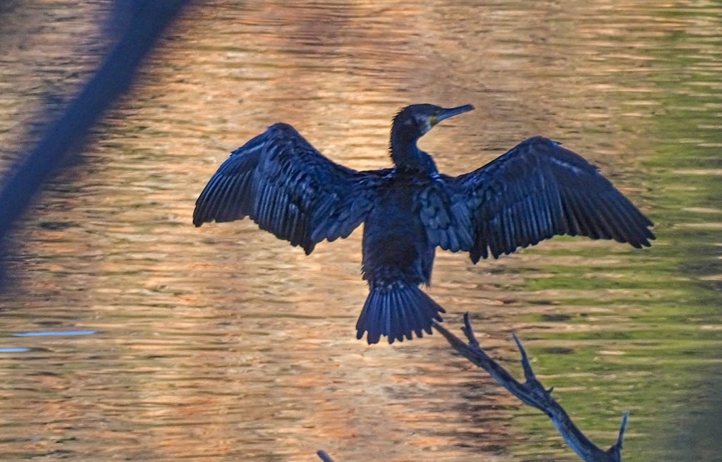 lagunas de ruidera