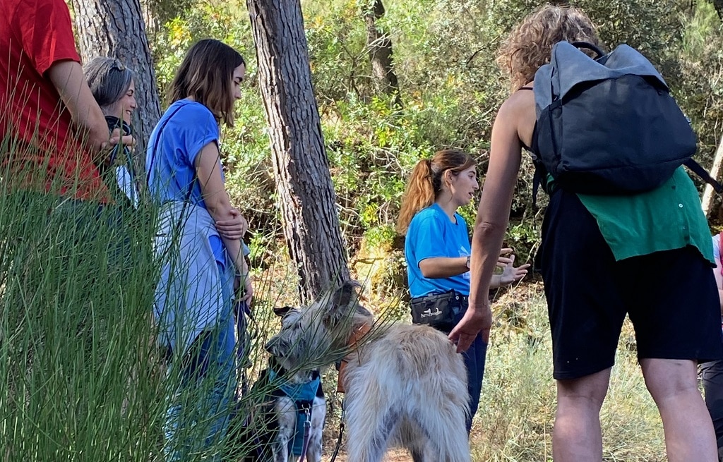 ruta-para-perros-lagunas-de-ruidera