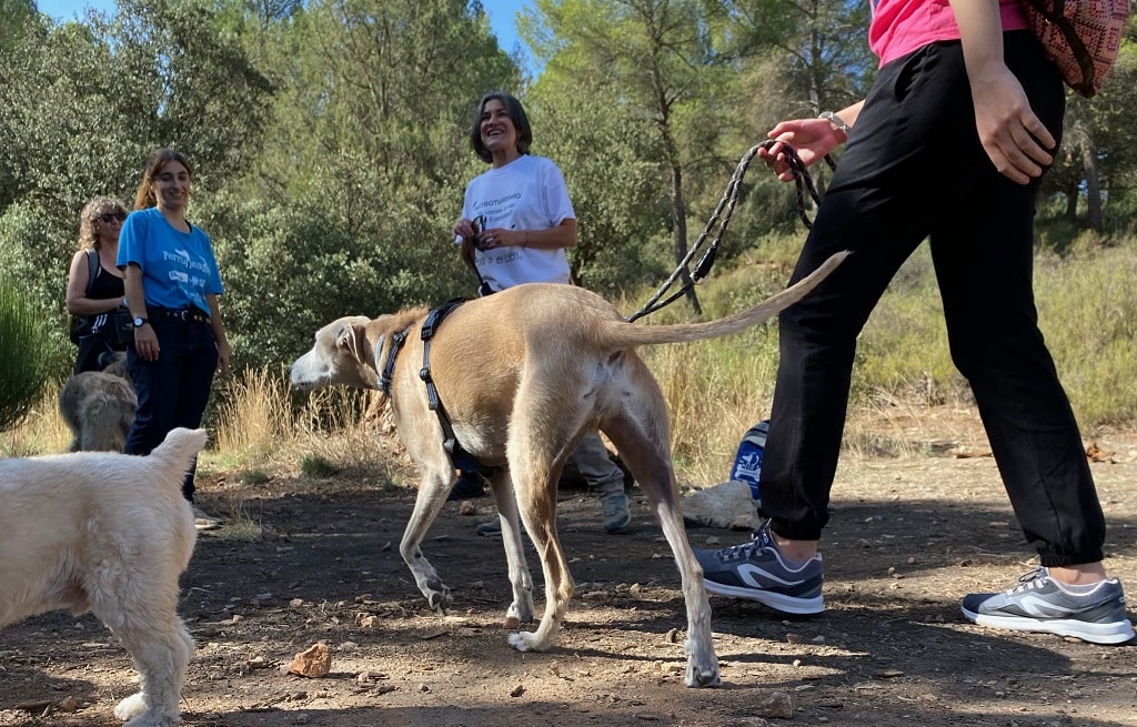ruta-para-perros-lagunas-ruidera