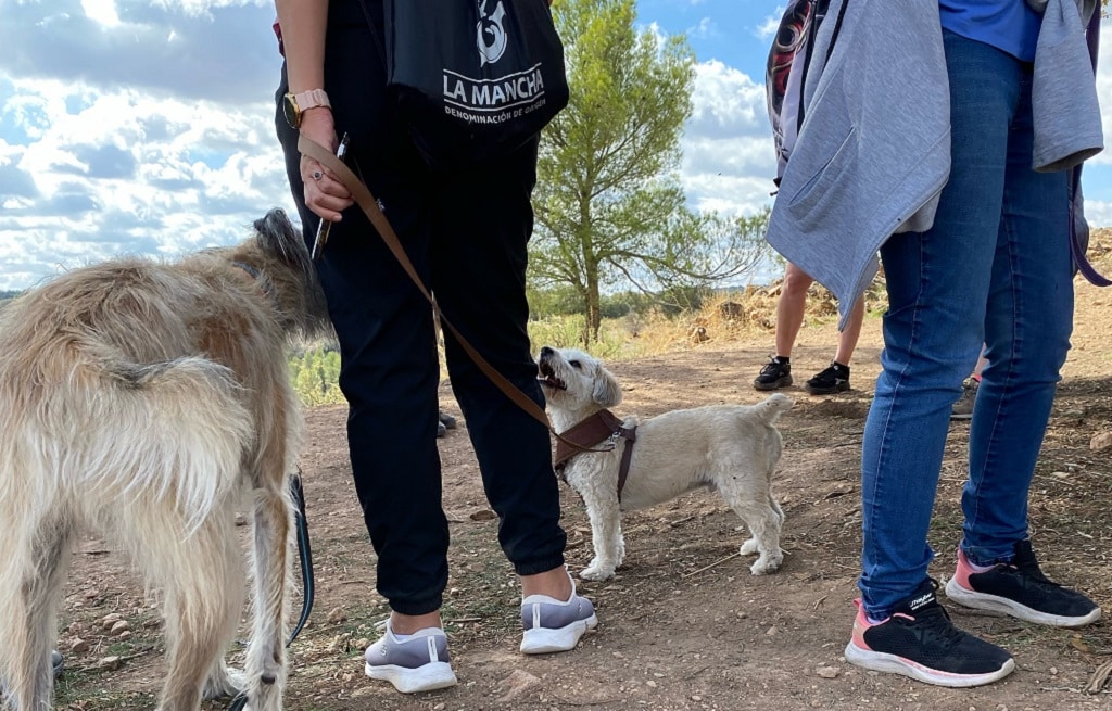 ruta-perro-ruidera