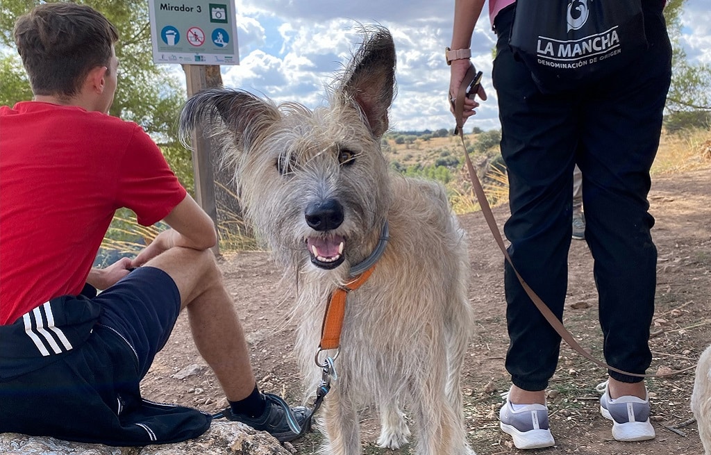 ruta-perros-ruidera