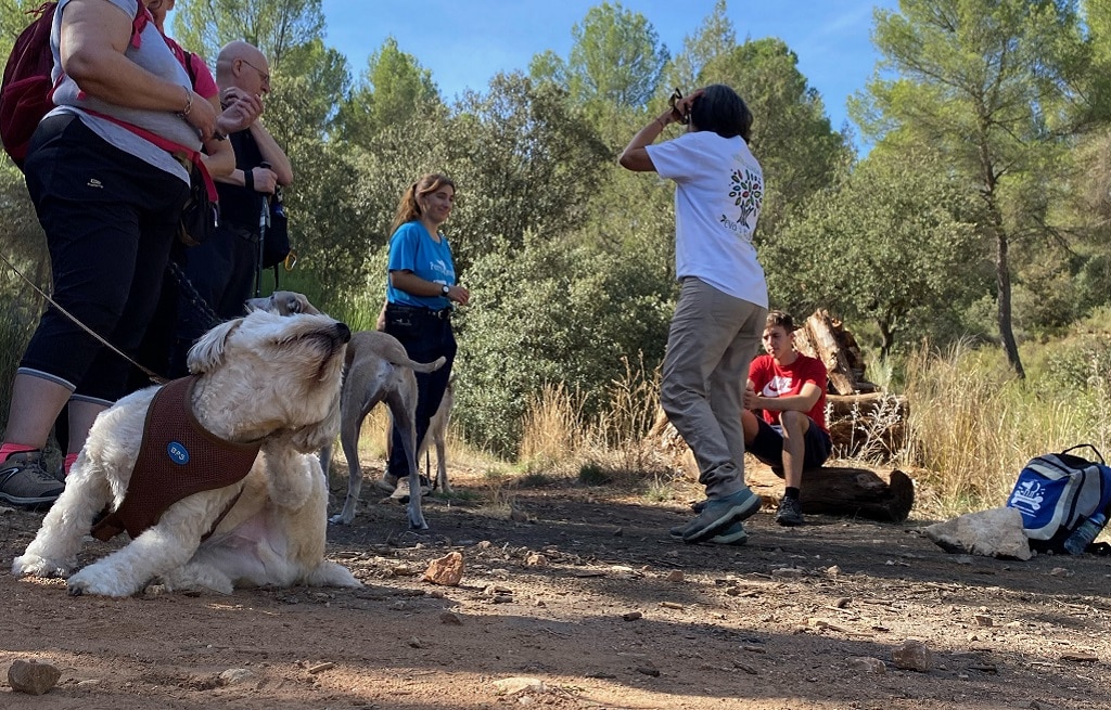 ruta-perruna-lagunas-de-ruidera